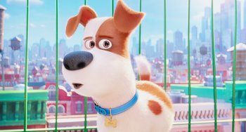 Movie still from “The Secret Life of Pets” (2016), directed by Chris Renaud – A dog with a blue and white collar and a blue collar; Close Up shot, High angle