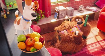 Movie still from “The Secret Life of Pets” (2016), directed by Chris Renaud – Two cartoon dogs sitting next to a bowl of fruit; Wide shot, High angle
