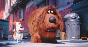Movie still from “The Secret Life of Pets” (2016), directed by Chris Renaud – A large dog standing on top of a sidewalk next to two dogs; Wide shot, Over the shoulder angle