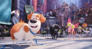 Movie still from “The Secret Life of Pets” (2016), directed by Chris Renaud – A group of cats and a dog in a street; Wide shot, Low angle