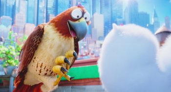 Movie still from “The Secret Life of Pets” (2016), directed by Chris Renaud – A bird is standing next to a white ball; Medium shot, Over the shoulder angle