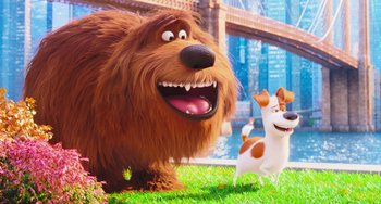 Movie still from “The Secret Life of Pets” (2016), directed by Chris Renaud – A dog and a dog standing next to each other on the grass; Wide shot, Over the shoulder angle