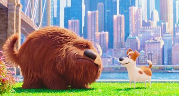 Movie still from “The Secret Life of Pets” (2016), directed by Chris Renaud – A dog and a stuffed bear in a city; Wide shot, Low angle