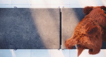 Movie still from “The Secret Life of Pets” (2016), directed by Chris Renaud – A brown dog laying on top of a floor next to a wall; Wide shot, Overhead angle