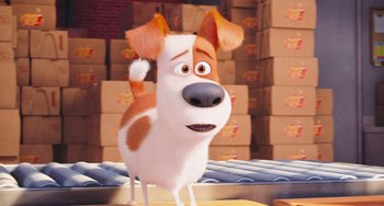 Movie still from “The Secret Life of Pets” (2016), directed by Chris Renaud – A cartoon dog with brown and white fur and brown ears; Close Up shot, Over the shoulder angle