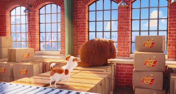 Movie still from “The Secret Life of Pets” (2016), directed by Chris Renaud – A cat and a dog sitting on crates in a room; Wide shot, Low angle