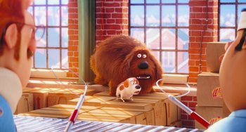 Movie still from “The Secret Life of Pets” (2016), directed by Chris Renaud – A brown dog and a white dog sitting next to each other; Wide shot, High angle