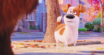 Movie still from “The Secret Life of Pets” (2016), directed by Chris Renaud – A dog standing next to a tree on a sidewalk; Close Up shot, Over the shoulder angle
