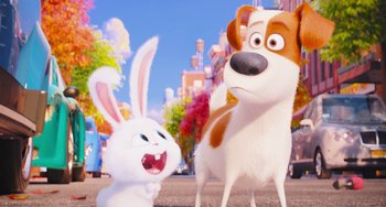 Movie still from “The Secret Life of Pets” (2016), directed by Chris Renaud – A dog and a rabbit are standing next to each other; Close Up shot, Low angle