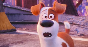 Movie still from “The Secret Life of Pets” (2016), directed by Chris Renaud – A dog with brown and white fur is looking at the camera; Close Up shot, Over the shoulder angle