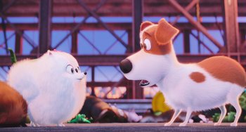 Movie still from “The Secret Life of Pets” (2016), directed by Chris Renaud – A dog and a cat in the movie the secret life of pets; Wide shot, Over the shoulder angle