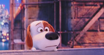Movie still from “The Secret Life of Pets” (2016), directed by Chris Renaud – A dog that is sitting on top of a wall; Close Up shot, Low angle
