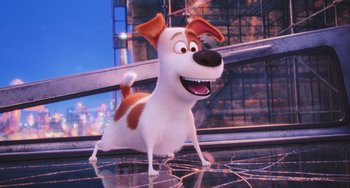 Movie still from “The Secret Life of Pets” (2016), directed by Chris Renaud – A dog is standing on a glass surface; Close Up shot, Low angle