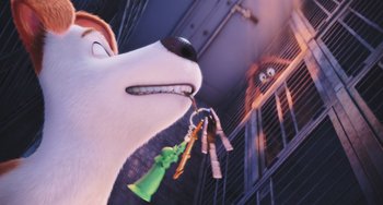 Movie still from “The Secret Life of Pets” (2016), directed by Chris Renaud – A scene from the animated movie the secret life of pets; Extreme Close Up shot, High angle