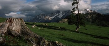 Movie still from “The Specialists” (1969), directed by Sergio Corbucci – A tree in the middle of a green field with mountains in the background; Extreme Wide shot, High angle