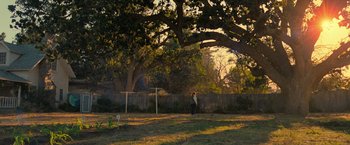 Movie still from “The Starling” (2021), directed by Theodore Melfi – A person standing in a field with a net; Extreme Wide shot, Over the shoulder angle