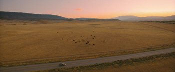 Movie still from “The Starling” (2021), directed by Theodore Melfi – An aerial view of a road with a herd of cattle in the background; Extreme Wide shot, High angle