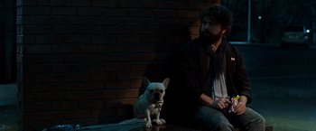 Movie still from “Due Date” (2010), directed by Todd Phillips – A man sitting next to a dog on the ground; Medium shot, Over the shoulder angle