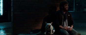 Movie still from “Due Date” (2010), directed by Todd Phillips – A dog sitting in front of a brick wall with a person sitting in the background; Medium shot, Low angle