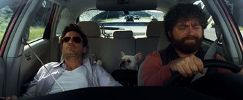 Movie still from “Due Date” (2010), directed by Todd Phillips – Two people and a dog in the back seat of a car; Medium shot, Over the shoulder angle