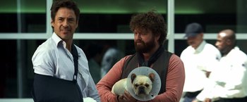 Movie still from “Due Date” (2010), directed by Todd Phillips – A man holding a dog with a cone around its neck; Medium shot, Low angle