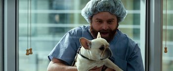 Movie still from “Due Date” (2010), directed by Todd Phillips – A man holding a dog in a surgical gown; Medium shot, Over the shoulder angle