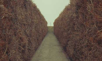 Movie still from “The Swan” (2023), directed by Wes Anderson – A path between two rows of bushes with a fence in the background; Extreme Wide shot, High angle