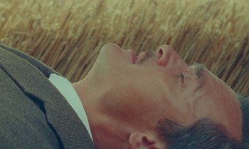 Movie still from “The Swan” (2023), directed by Wes Anderson – A person laying on the ground; Close Up shot, Overhead angle