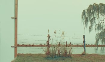 Movie still from “The Swan” (2023), directed by Wes Anderson – A field with grass and a barbed wire fence; Extreme Wide shot, Low angle