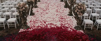 Movie still from “The Twilight Saga: Breaking Dawn - Part 1” (2011), directed by Bill Condon – A red carpet covered in red rose petals; Extreme Wide shot, High angle