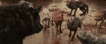 Movie still from “The Twilight Saga: Breaking Dawn - Part 1” (2011), directed by Bill Condon – A group of dogs standing on top of a dirt field; Wide shot, High angle