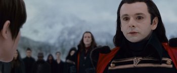 Movie still from “The Twilight Saga: Breaking Dawn - Part 2” (2012), directed by Bill Condon – A group of people standing next to each other in a line; Close Up shot, Over the shoulder angle