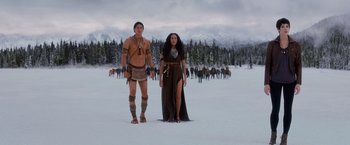 Movie still from “The Twilight Saga: Breaking Dawn - Part 2” (2012), directed by Bill Condon – A man and a woman standing in the middle of a snow covered field; Wide shot, Low angle