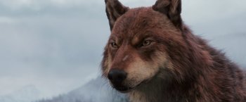 Movie still from “The Twilight Saga: Breaking Dawn - Part 2” (2012), directed by Bill Condon – The face of a wolf; Extreme Close Up shot, High angle