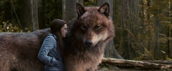 Movie still from “The Twilight Saga: Eclipse” (2010), directed by David Slade – A woman standing next to a brown wolf; Medium shot, High angle