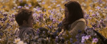 Movie still from “The Twilight Saga: Eclipse” (2010), directed by David Slade – A man and a woman sitting in a field of purple flowers; Medium shot, High angle