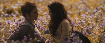 Movie still from “The Twilight Saga: Eclipse” (2010), directed by David Slade – A man and a woman standing in a field of purple flowers; Medium shot, High angle