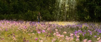 Movie still from “The Twilight Saga: New Moon” (2009), directed by Chris Weitz – A person standing in a field of flowers; Extreme Wide shot, High angle