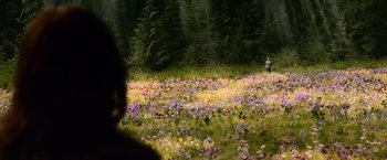 Movie still from “The Twilight Saga: New Moon” (2009), directed by Chris Weitz – A field full of purple and yellow flowers in the middle of a forest; Extreme Wide shot, Over the shoulder angle