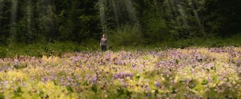 Movie still from “The Twilight Saga: New Moon” (2009), directed by Chris Weitz – A person standing in a field of flowers; Extreme Wide shot, High angle