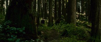 Movie still from “The Twilight Saga: New Moon” (2009), directed by Chris Weitz – A trail in the middle of a forest with many trees; Extreme Wide shot, High angle