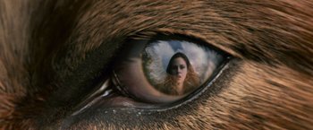 Movie still from “The Twilight Saga: New Moon” (2009), directed by Chris Weitz – A woman's reflection in a cat's eye; Extreme Close Up shot, Overhead angle