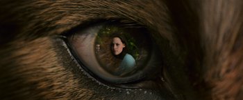 Movie still from “The Twilight Saga: New Moon” (2009), directed by Chris Weitz – A woman is reflected in a cat's eye; Extreme Close Up shot, Overhead angle