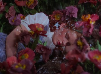 Movie still from “The Wizard of Oz” (1939), directed by Victor Fleming – A woman laying in a field of flowers with a fan in front of her face; Medium shot, High angle