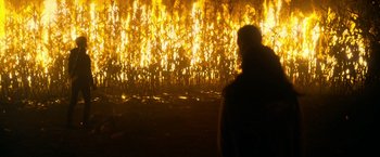 Movie still from “There's Someone Inside Your House” (2021), directed by Patrick Brice – A person standing in front of a fire; Extreme Wide shot, Over the shoulder angle