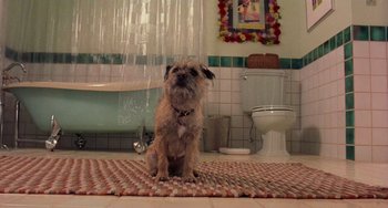 Movie still from “There's Something About Mary” (1998), directed by Bobby Farrelly – A dog sitting on the floor of a bathroom; Wide shot, Low angle