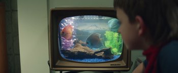 Movie still from “Timmy Failure: Mistakes Were Made” (2020), directed by Tom McCarthy – Two fish in the aquarium in the tv; Extreme Close Up shot, High angle