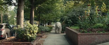 Movie still from “Timmy Failure: Mistakes Were Made” (2020), directed by Tom McCarthy – A polar bear walking down a path in a park; Extreme Wide shot, Low angle