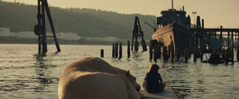 Movie still from “Timmy Failure: Mistakes Were Made” (2020), directed by Tom McCarthy – A woman sitting on a dock next to a body of water; Extreme Wide shot, High angle