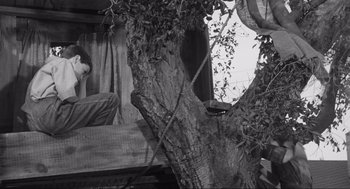 Movie still from “To Kill a Mockingbird” (1962), directed by Robert Mulligan – A black and white photo of a tree with a person sitting on it; Medium shot, Low angle